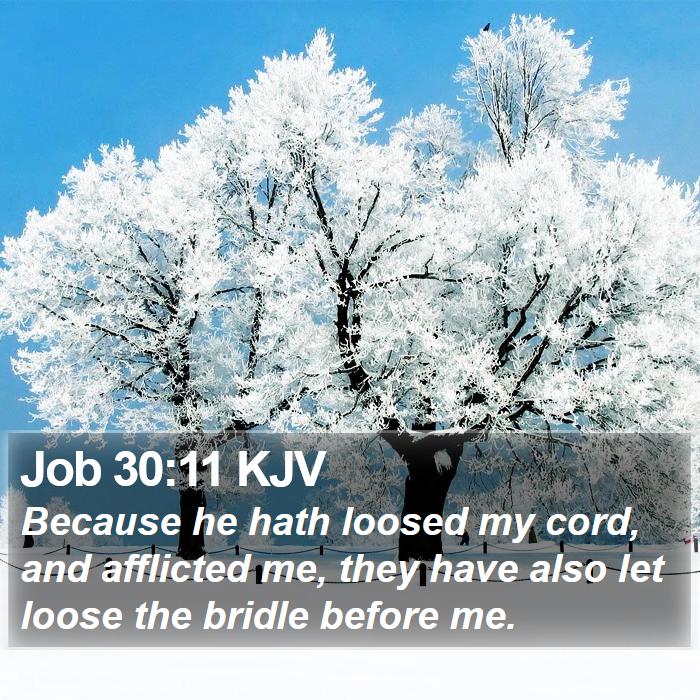 Job 30:11 KJV Bible Study