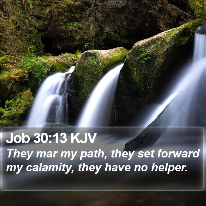 Job 30:13 KJV Bible Study