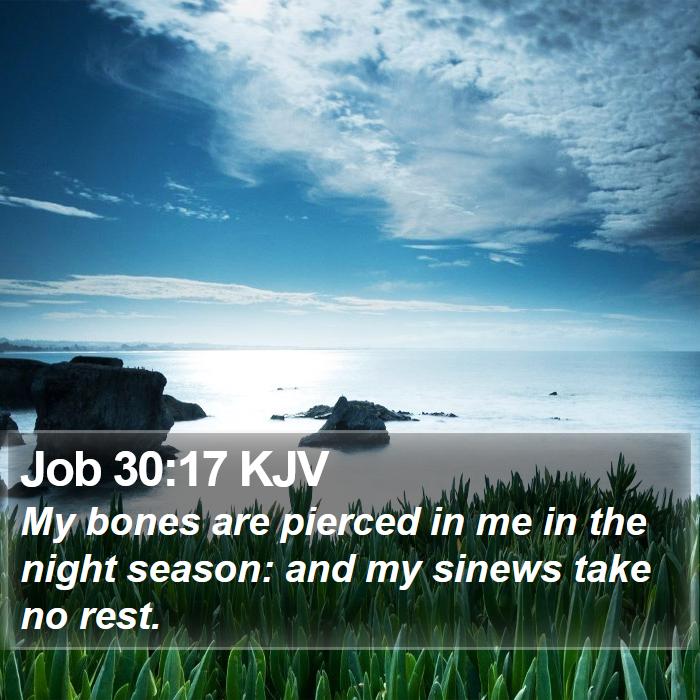 Job 30:17 KJV Bible Study