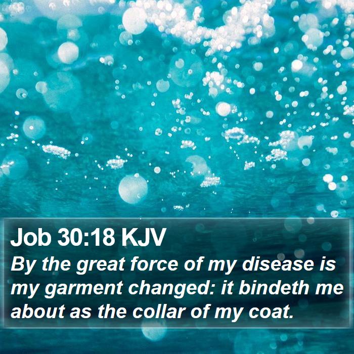 Job 30:18 KJV Bible Study