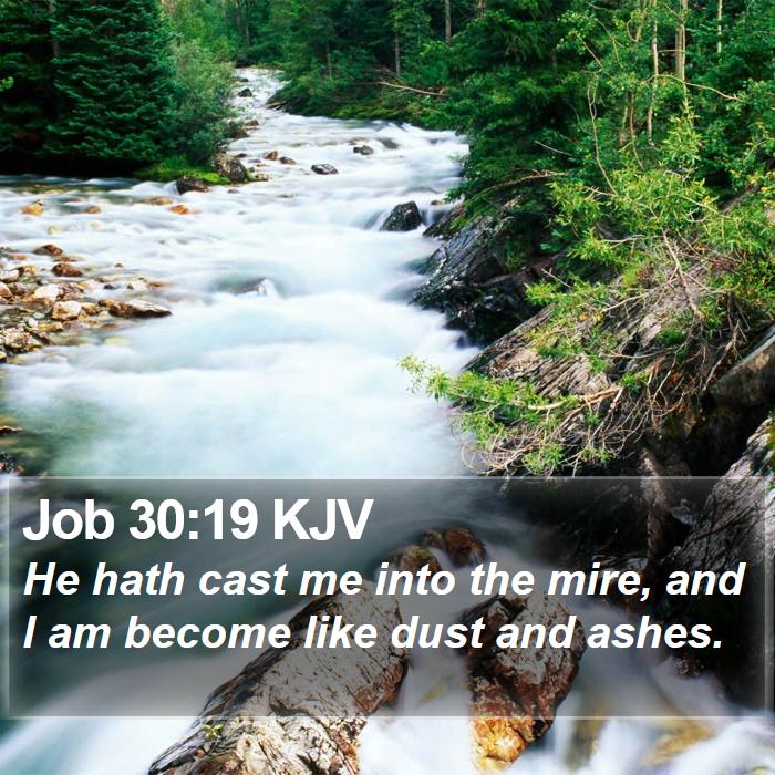 Job 30:19 KJV Bible Study