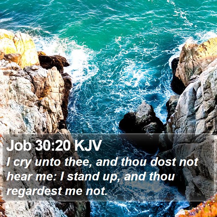 Job 30:20 KJV Bible Study