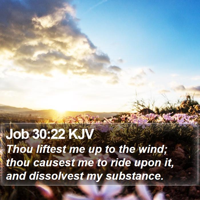 Job 30:22 KJV Bible Study