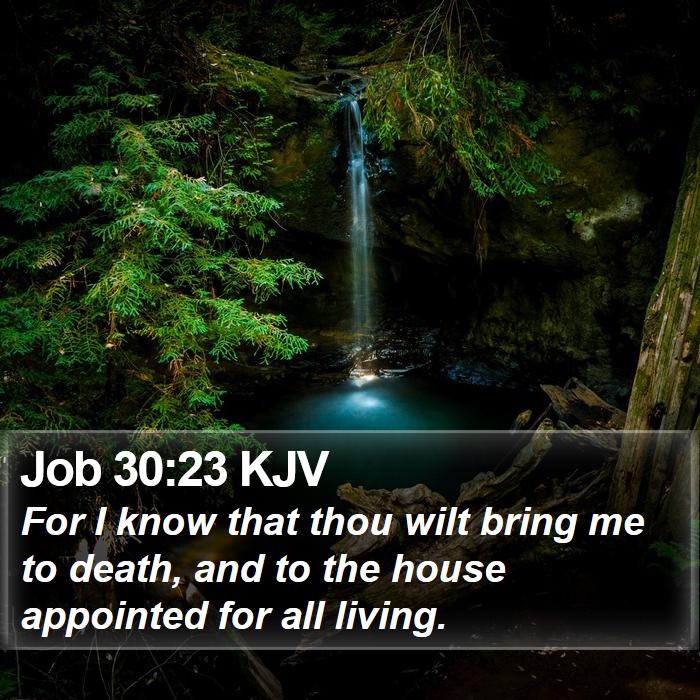 Job 30:23 KJV Bible Study