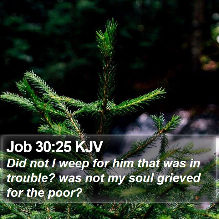 Job 30:25 KJV Bible Study