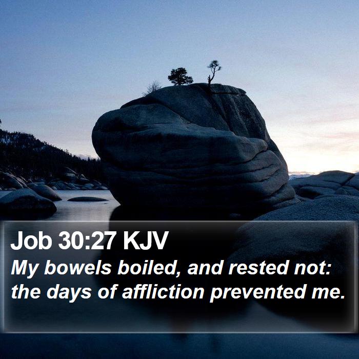 Job 30:27 KJV Bible Study