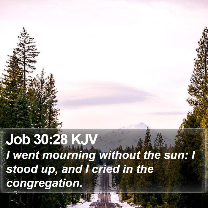 Job 30:28 KJV Bible Study