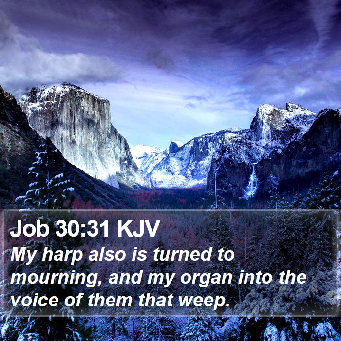 Job 30:31 KJV Bible Study