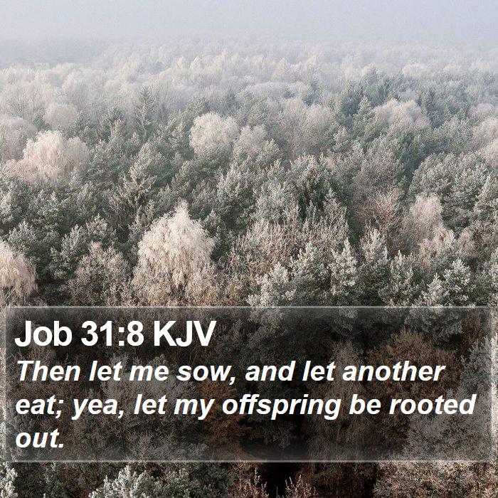 Job 31:8 KJV Bible Study