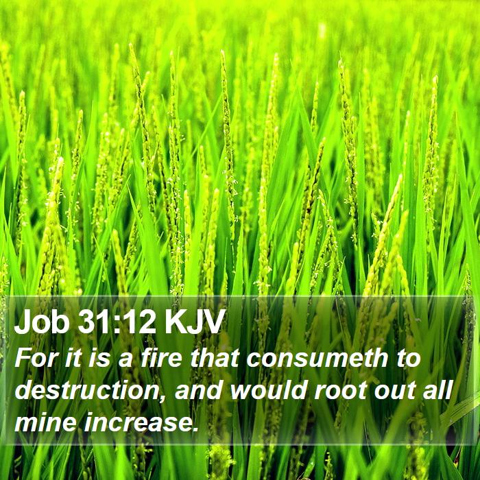 Job 31:12 KJV Bible Study