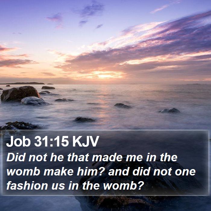 Job 31:15 KJV Bible Study