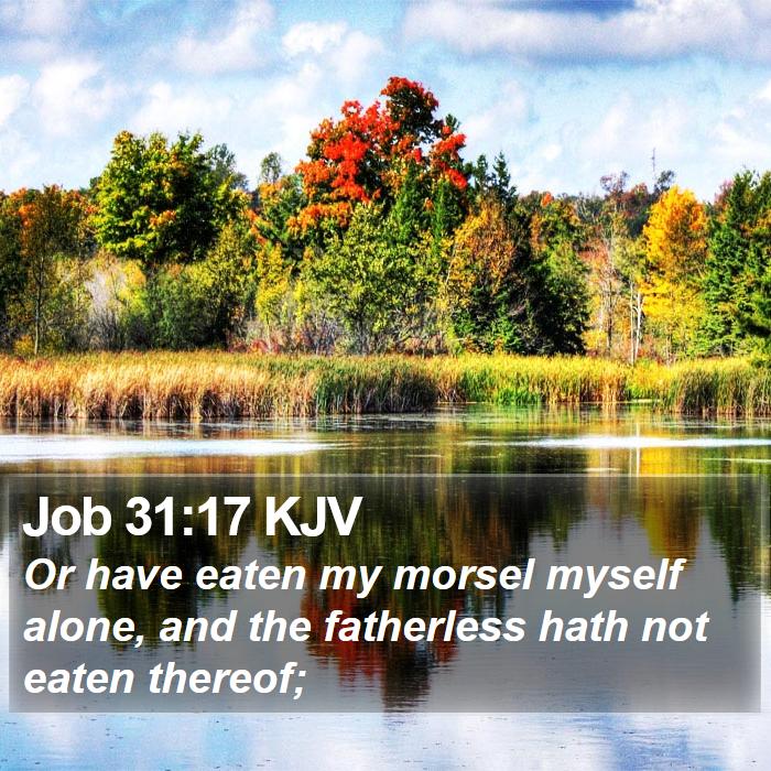 Job 31:17 KJV Bible Study