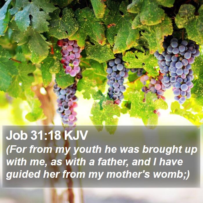 Job 31:18 KJV Bible Study