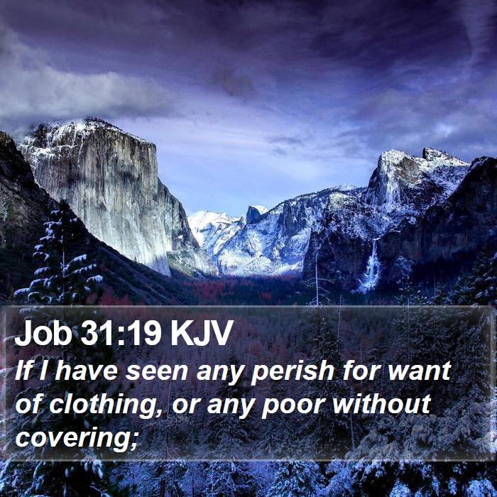 Job 31:19 KJV Bible Study