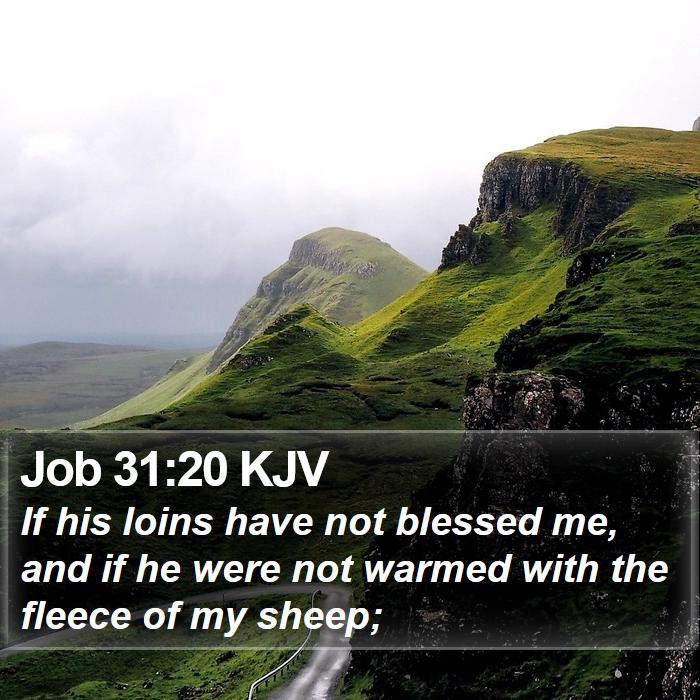 Job 31:20 KJV Bible Study