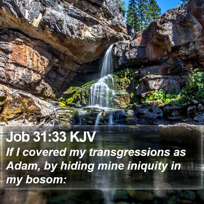 Job 31:33 KJV Bible Study