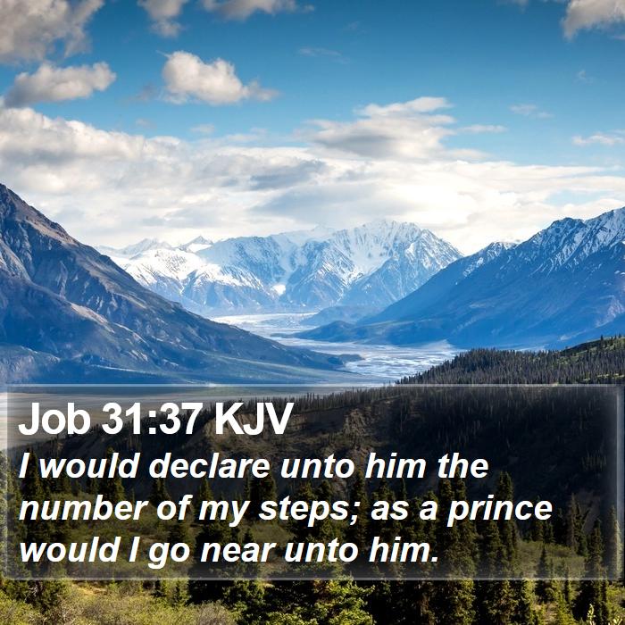 Job 31:37 KJV Bible Study