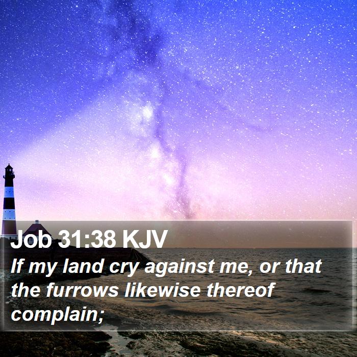 Job 31:38 KJV Bible Study