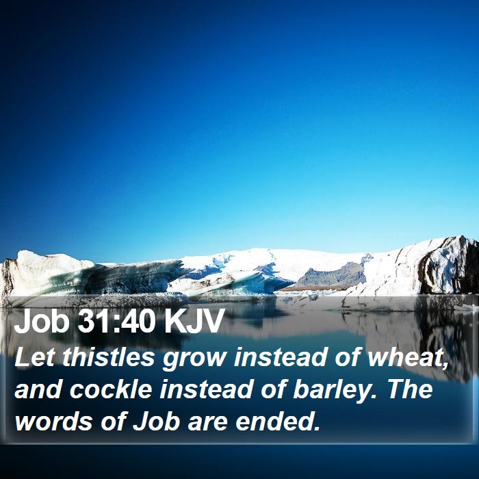 Job 31:40 KJV Bible Study