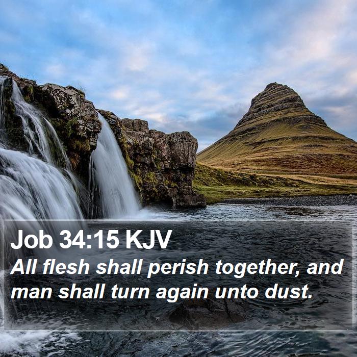 Job 34:15 KJV Bible Study