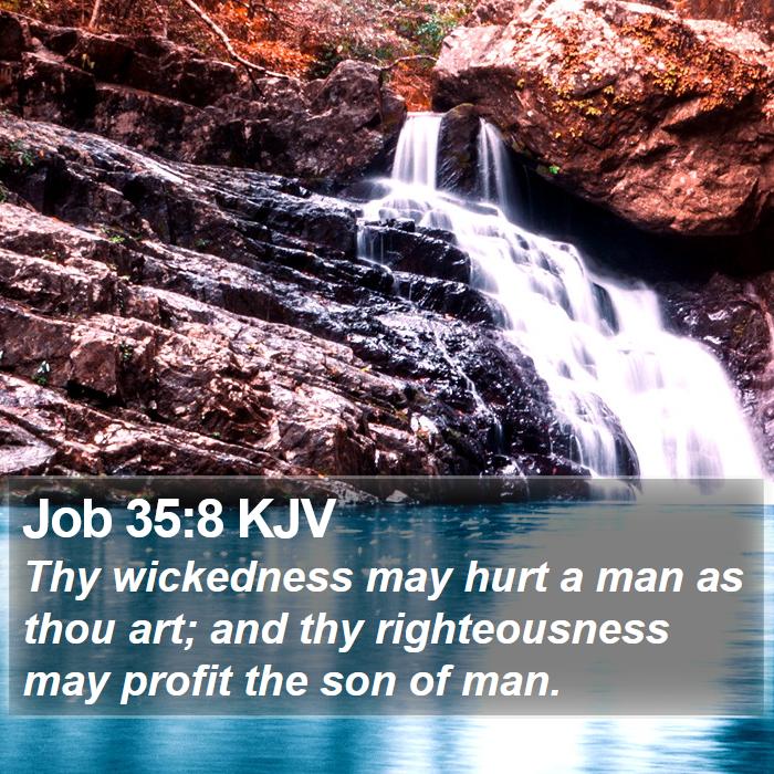 Job 35:8 KJV Bible Study