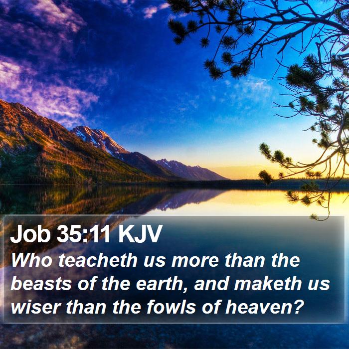 Job 35:11 KJV Bible Study