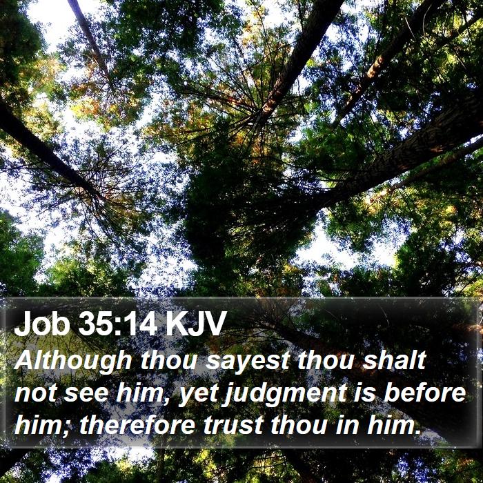 Job 35:14 KJV Bible Study