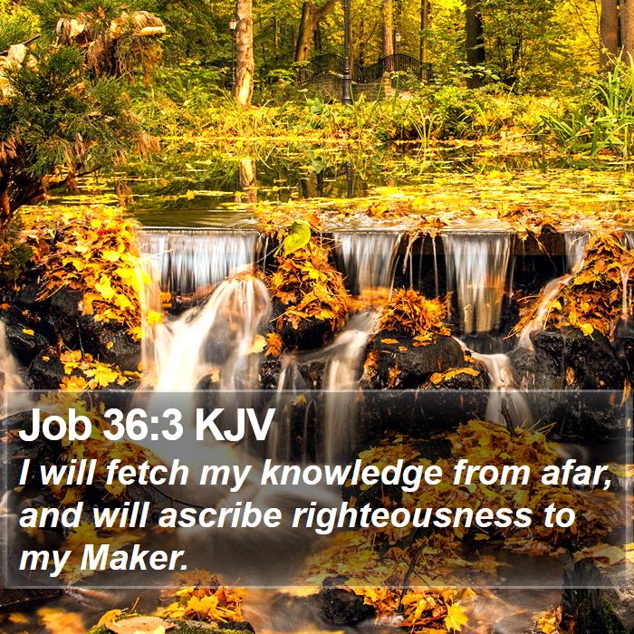 Job 36:3 KJV Bible Study