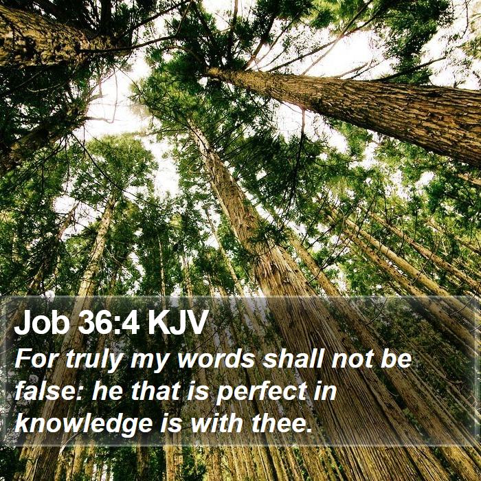 Job 36:4 KJV Bible Study