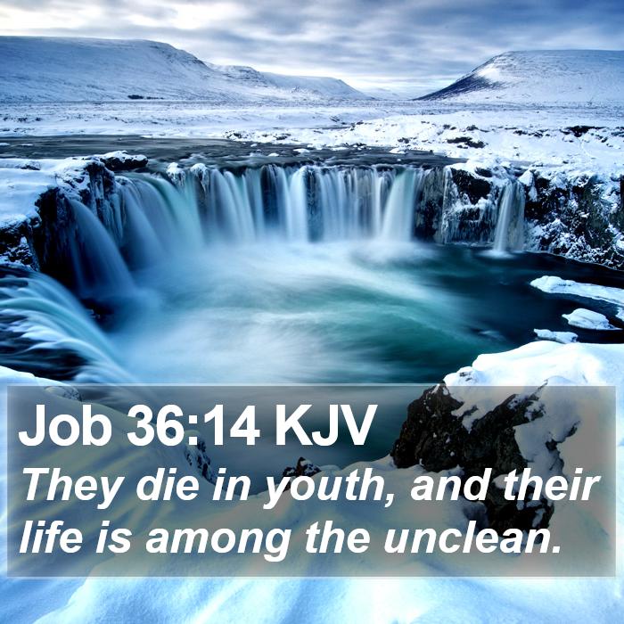 Job 36:14 KJV Bible Study