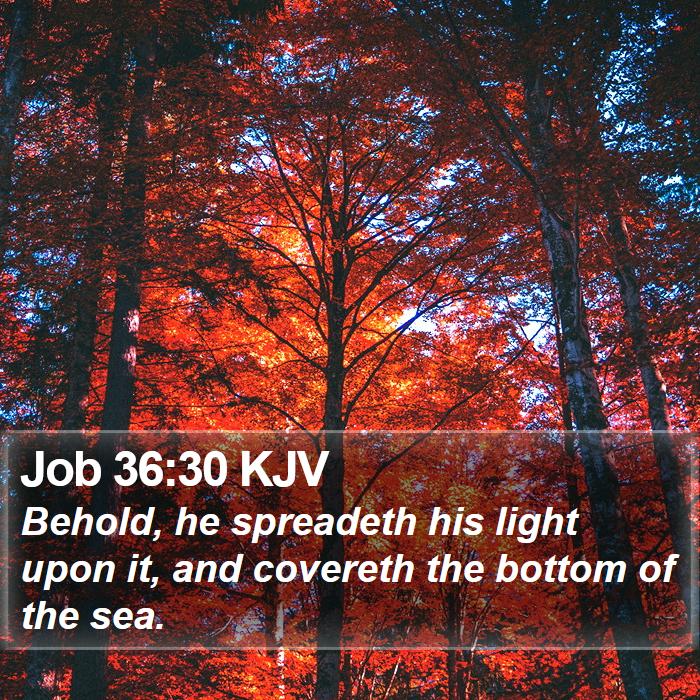 Job 36:30 KJV Bible Study