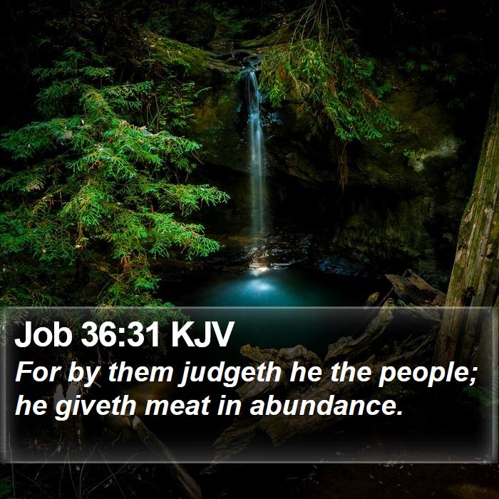 Job 36:31 KJV Bible Study