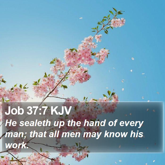 Job 37:7 KJV Bible Study