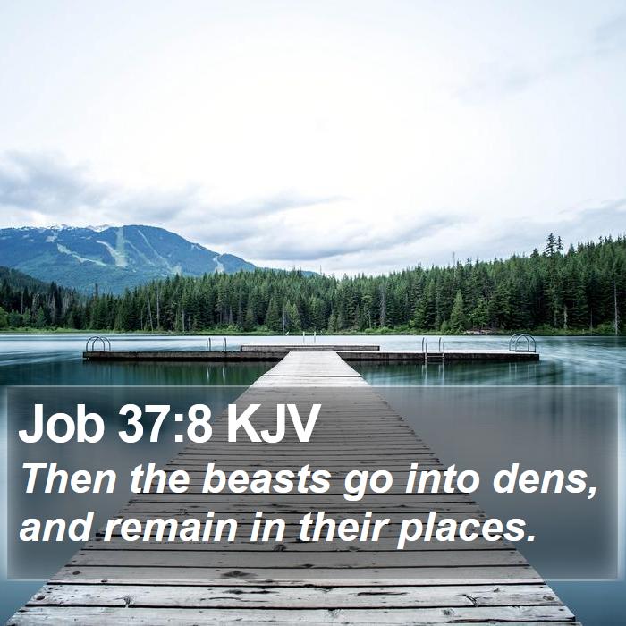 Job 37:8 KJV Bible Study