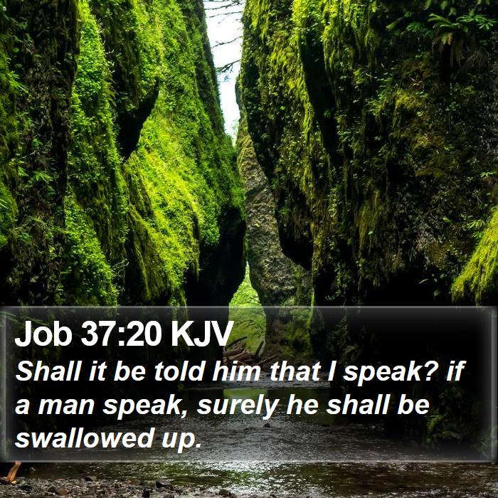 Job 37:20 KJV Bible Study