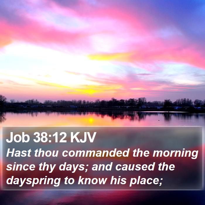 Job 38:12 KJV Bible Study