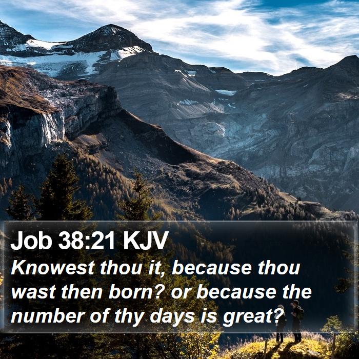 Job 38:21 KJV Bible Study