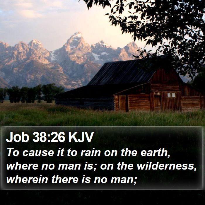 Job 38:26 KJV Bible Study