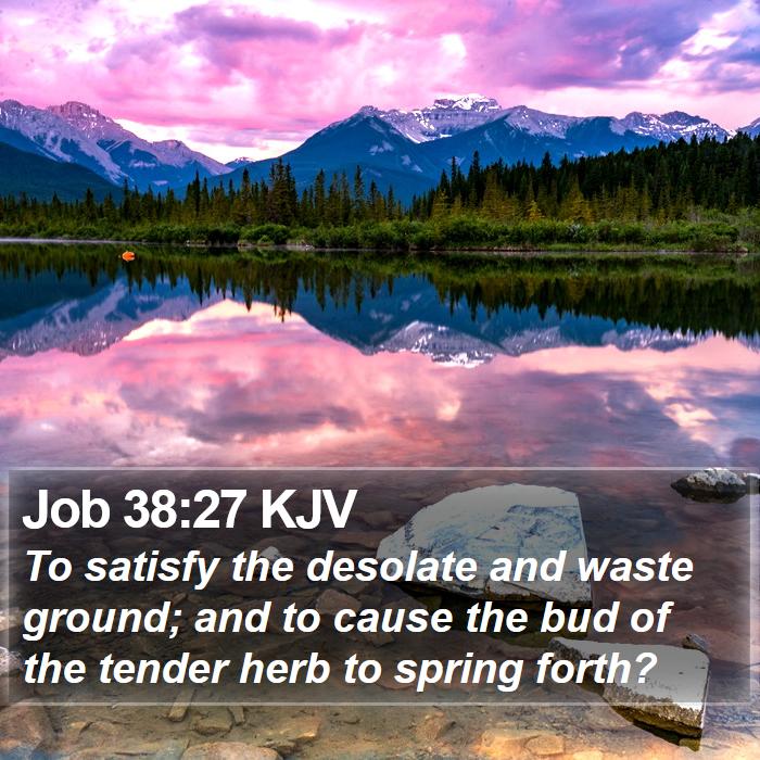 Job 38:27 KJV Bible Study