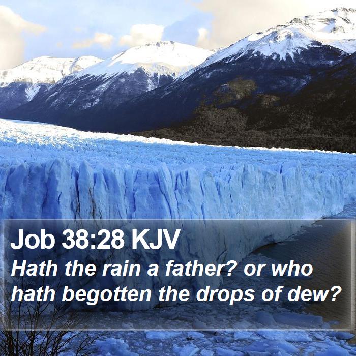 Job 38:28 KJV Bible Study