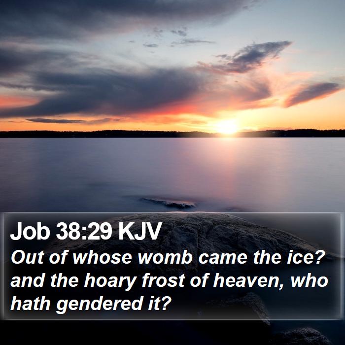 Job 38:29 KJV Bible Study