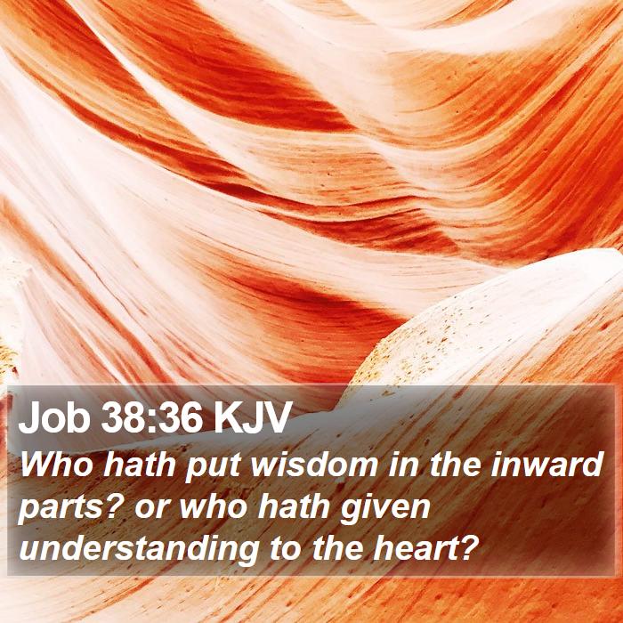 Job 38:36 KJV Bible Study