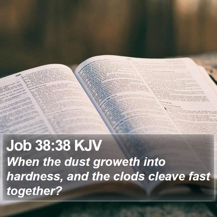 Job 38:38 KJV Bible Study