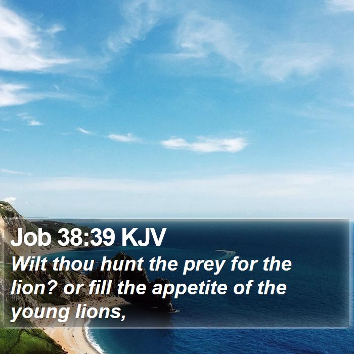 Job 38:39 KJV Bible Study