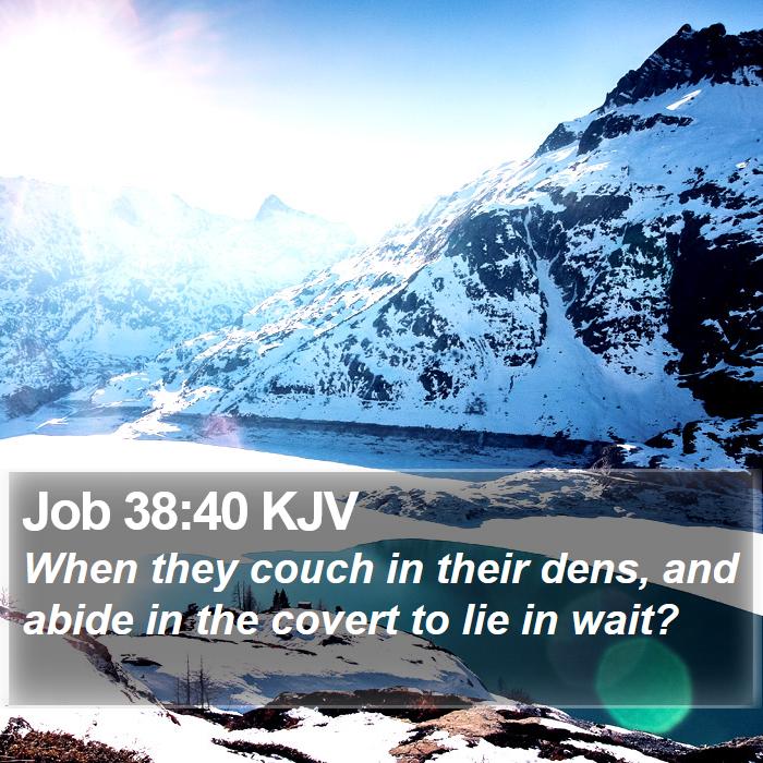 Job 38:40 KJV Bible Study