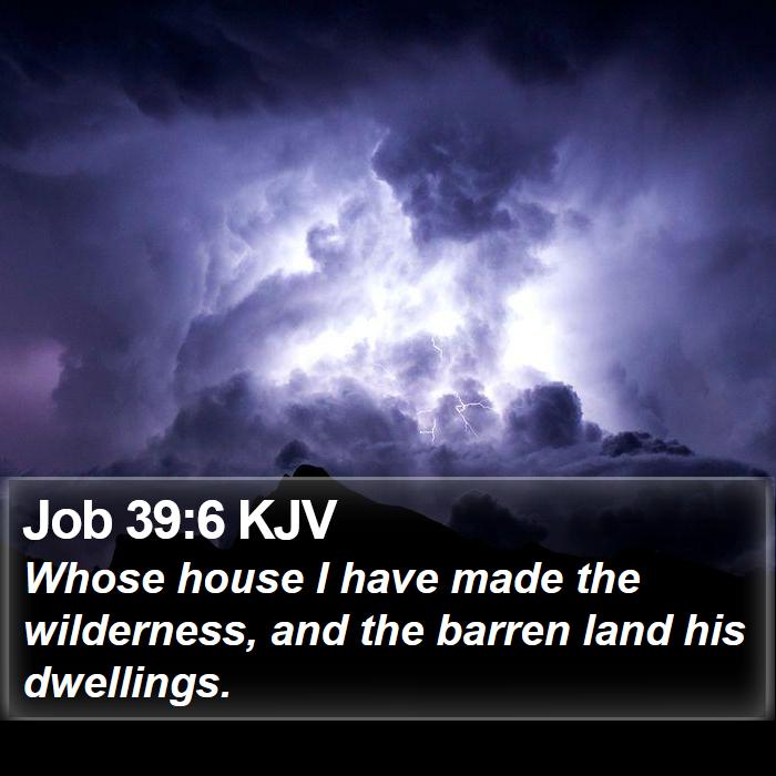 Job 39:6 KJV Bible Study