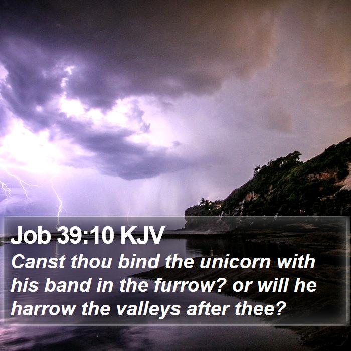 Job 39:10 KJV Bible Study