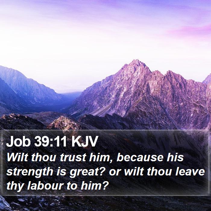 Job 39:11 KJV Bible Study