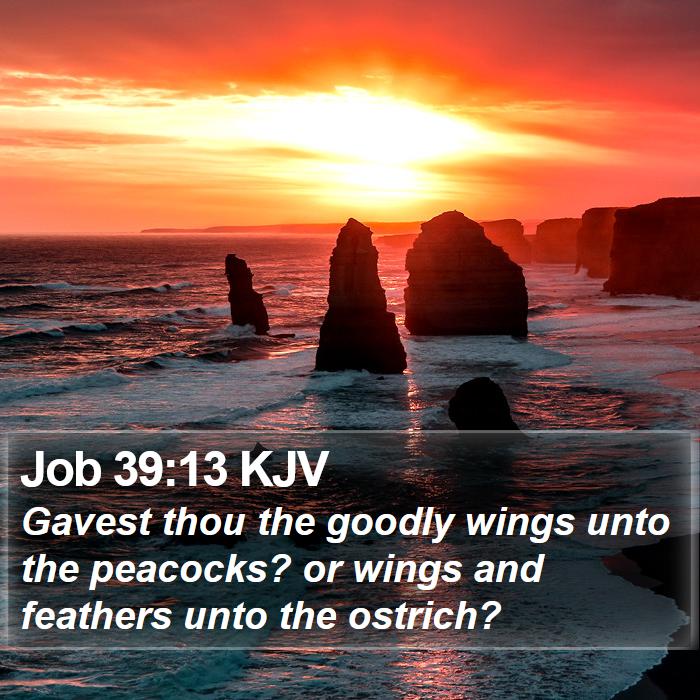 Job 39:13 KJV Bible Study