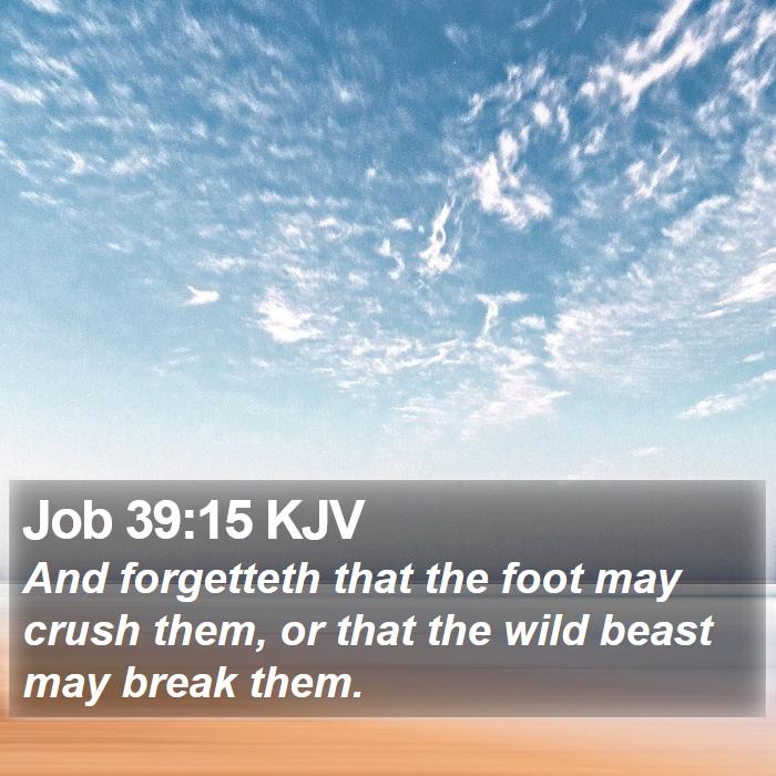 Job 39:15 KJV Bible Study